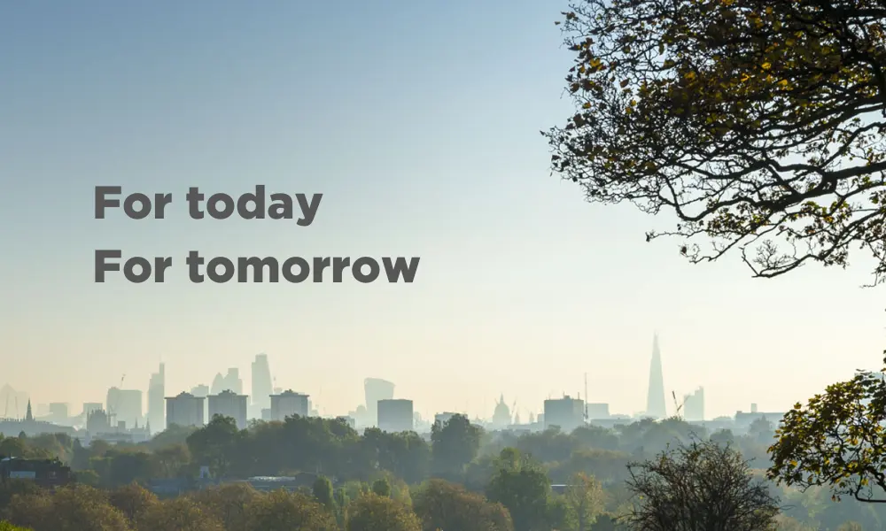 Blue sky with city skyline in background with trees in the foreground