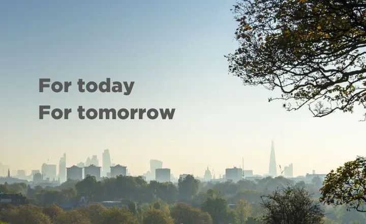 Blue sky with city skyline in background with trees in the foreground